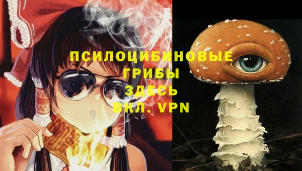 дмт Няндома