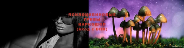 дмт Няндома