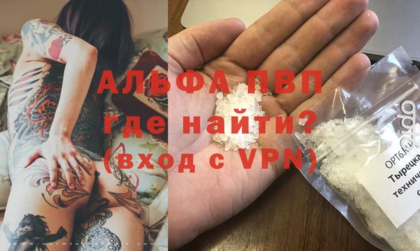 ПСИЛОЦИБИНОВЫЕ ГРИБЫ Переславль-Залесский