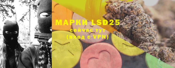 apvp Осинники