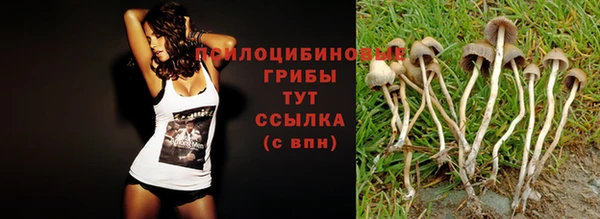 MDMA Нязепетровск