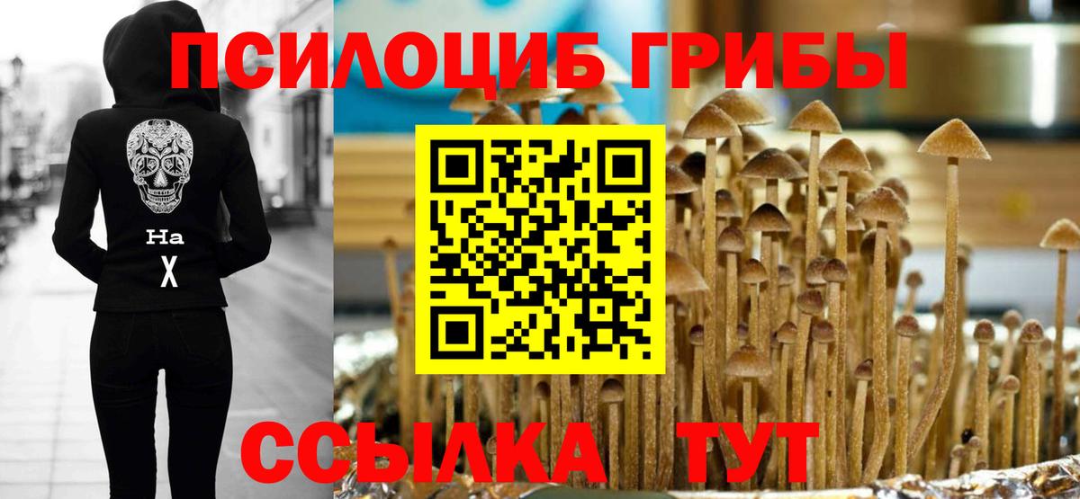 Псилоцибиновые грибы MAGIC MUSHROOMS  цены   Мурино 