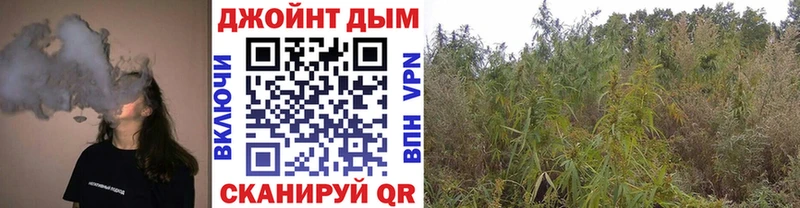 хочу   дарк нет наркотические препараты  Шишки марихуана THC 21%  Мурино 